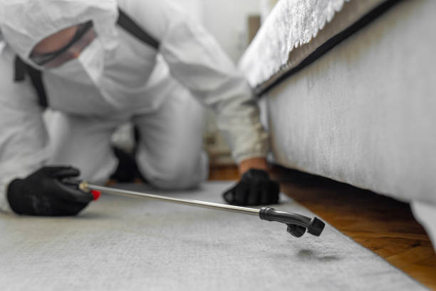 Professional Termite Control technician working in Cambridge, MN