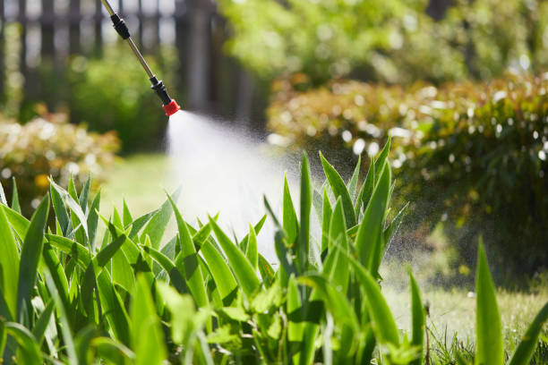 24/7 Emergency Termite Control experts in Cambridge, MN